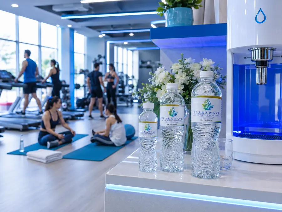 Gyms & Studios